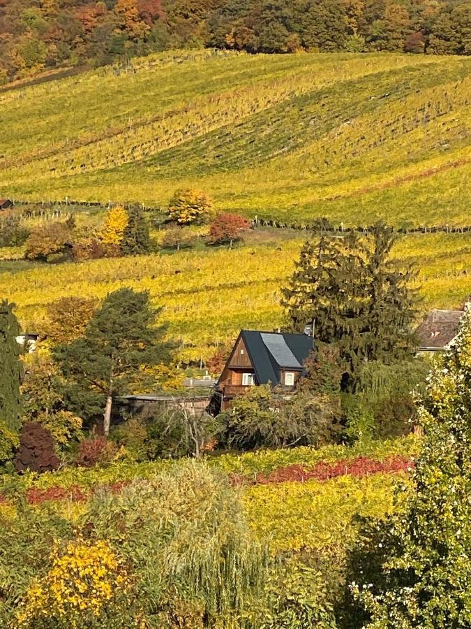 וינה Vacationhome In The Vineyards מראה חיצוני תמונה