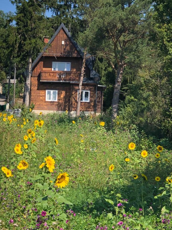 וינה Vacationhome In The Vineyards מראה חיצוני תמונה